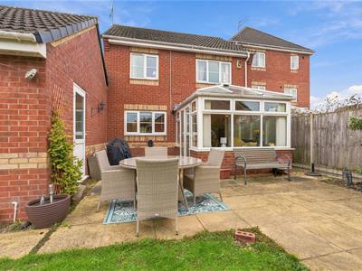 Picture 21